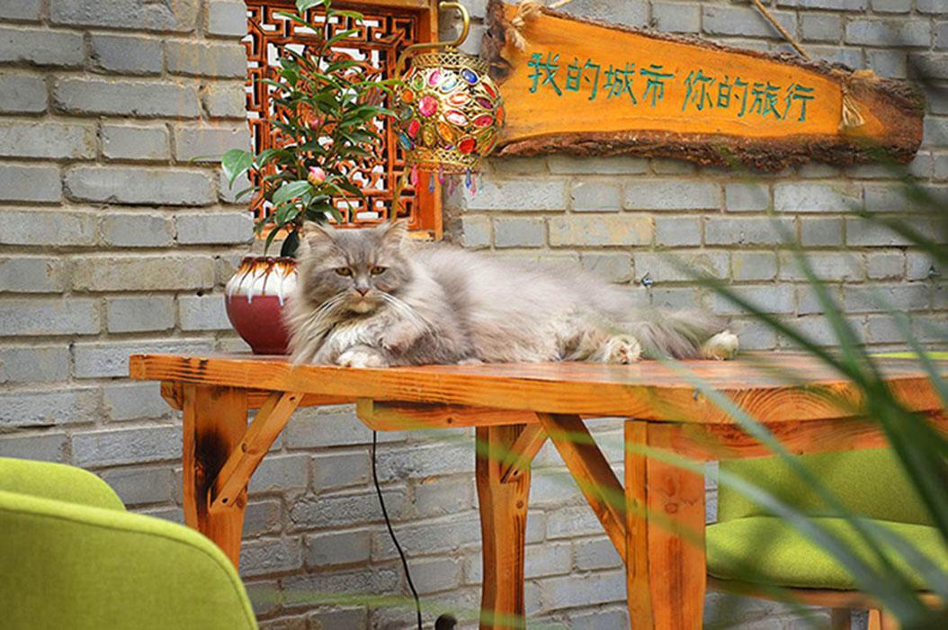 Luoyang Longmen Youth Hostel 外观 照片